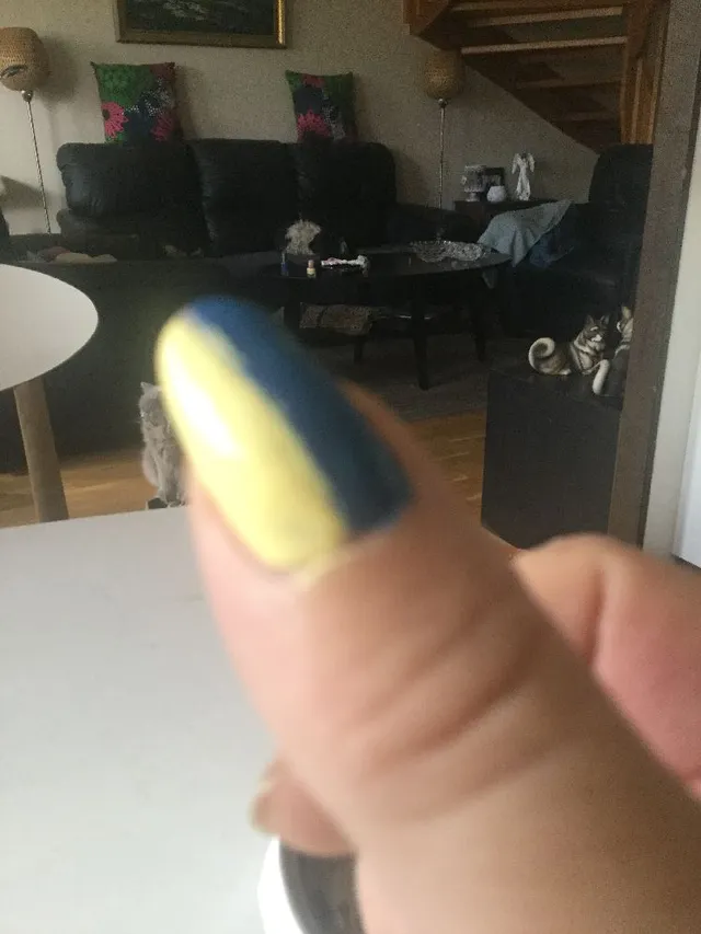 Sveriges flagga eller Ukrainska flaggan